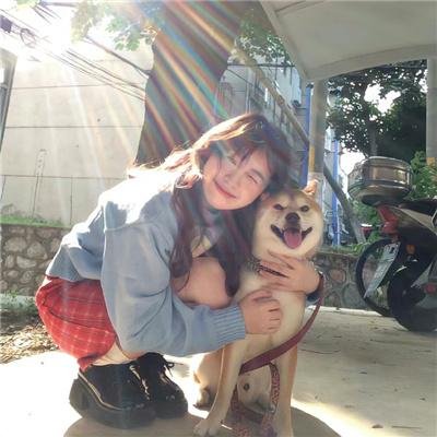 战地女护士 海报